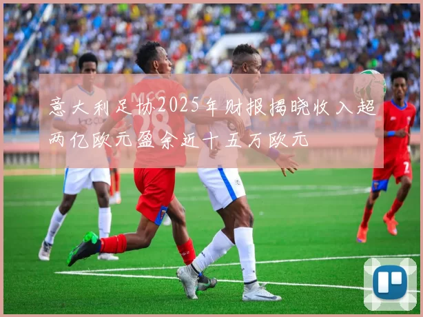 意大利足协2025年财报揭晓收入超两亿欧元盈余近十五万欧元